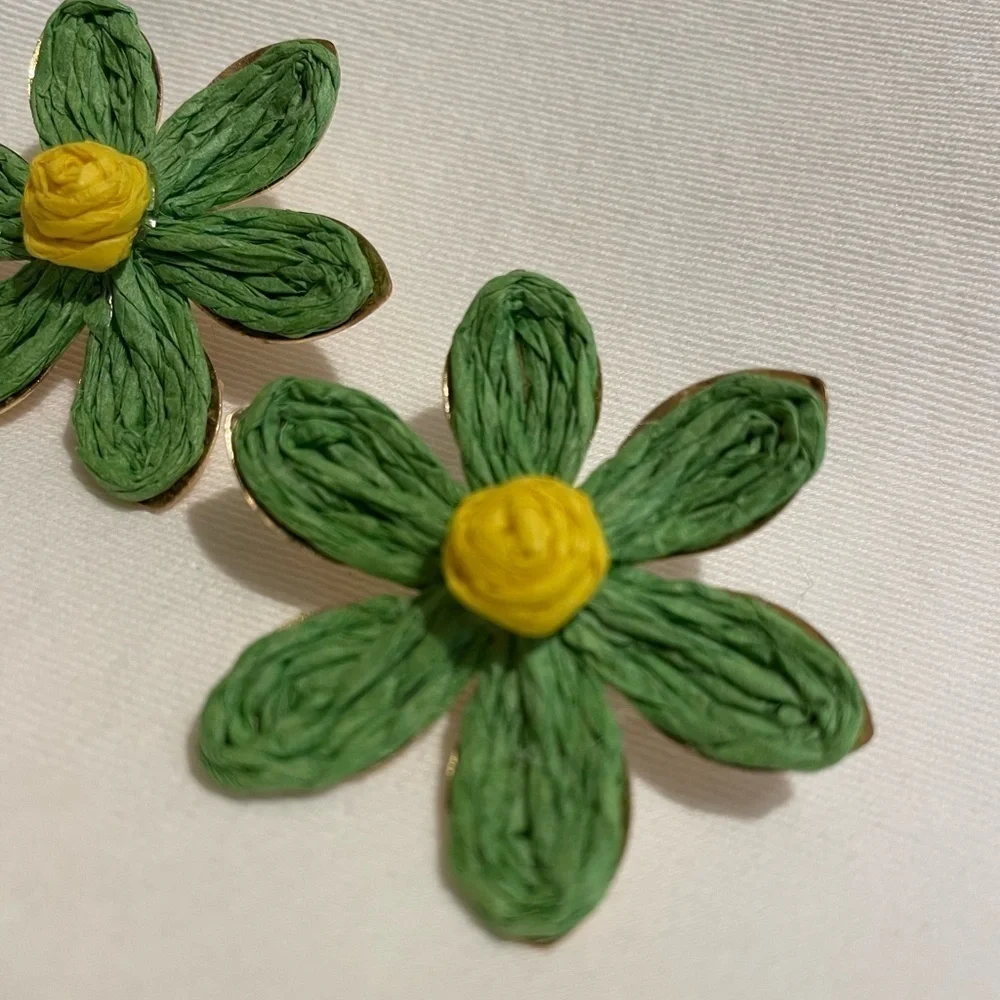 Pierced Earrings